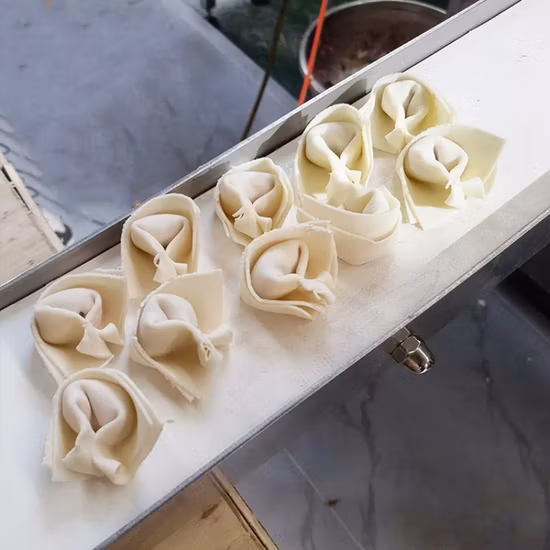 Vollautomatische Wonton-Herstellungsmaschine, Knödelhersteller, Wonton-Wrapper, Faltmaschine, Preis