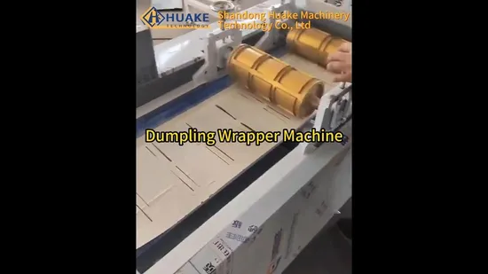 Heiße Verkäufe Automatische Wonton-Wrapper-Herstellungsmaschine Knödel-Wrapper-Frühlingsrollen-Haut-Produktionslinie/Maschine