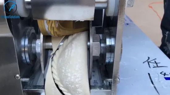 USA/Kanada mit Edelstahl-Automatik-Knödel/Ravioli/Empanada/Wonton/Samosa/Frühlingsrolle/Pieragi-Maschine zum Verkauf